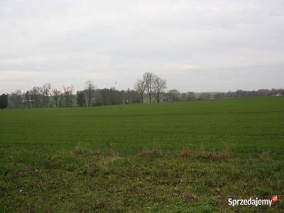 Syndyk sprzeda działkę w Targowisku, gmina Lubawa