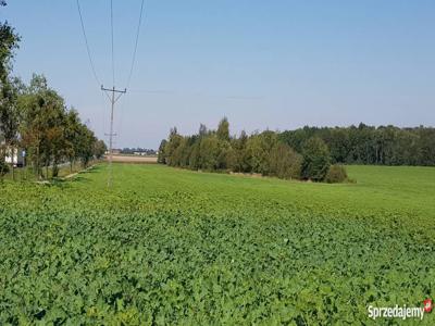 Teren inwestycyjny 13,1200ha, 6 km od Oławy