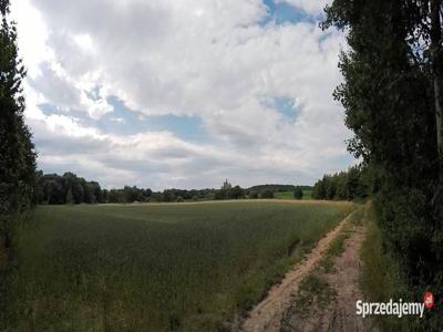 Wydzierżawię ziemię rolną 12800m² Gębczyce