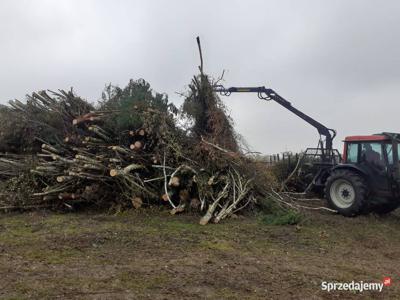 Wytnę drzewa krzaki z pól łąk działek za darmo