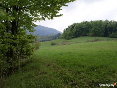 Zamienię Piękną Działkę Widokową w Beskidach - pow. 1 - 3 ha