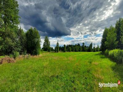 Zofinin Urokliwe łąki w pobliżu Strachówki 1200 m2