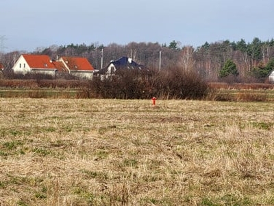 Działka siedliskowa, ul. Dowjata