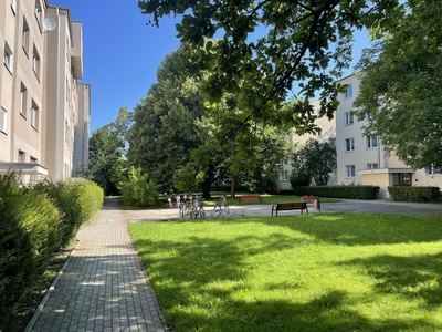 Śliczne 2 pokoje, 100 m od WUM. Bezpośrednio. 3000 zł + czynsz