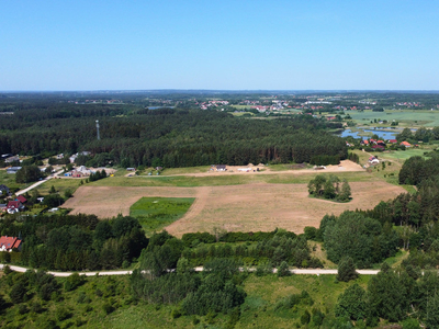 Olsztyński, Dywity, Kieźliny, Romana Domagały