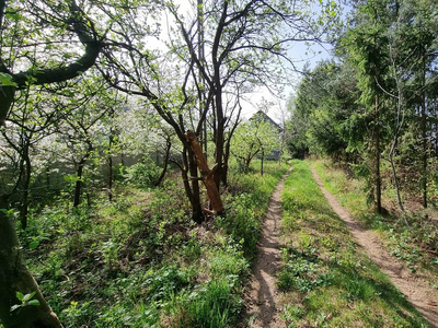 Opoczyński, Opoczno, Stużno-Kolonia