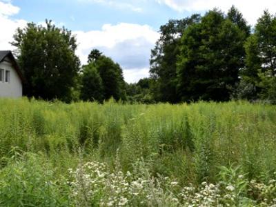 Działka budowlana Długokąty