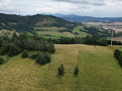 Działka na sprzedaż, Kłodzki, Jaszkowa Górna