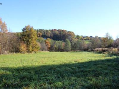 Działka rolno-budowlana Sułków