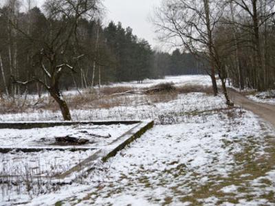 Działka siedliskowa, ul. Zakrętowa