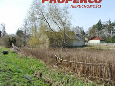 Buski, Tuczępy, Kargów