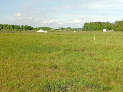 Dąbrowa Górnicza, Błędów, Zagórze