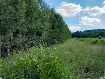 Działka budowlana Masłów Drugi