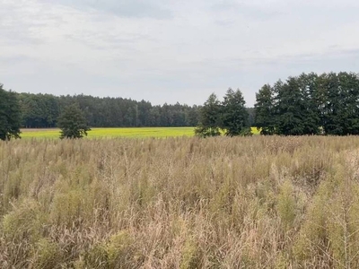 Działka budowlana Radzewice, ul. Bławatkowa