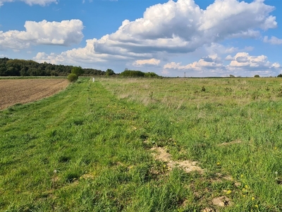 Działka budowlana Skowronów