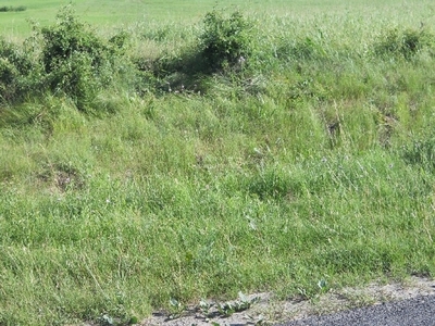 Działka budowlana Toruń Kaszczorek