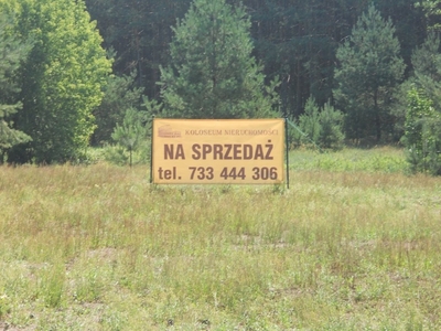 Działka leśna Obrowo