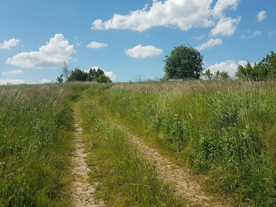 Krakowski, Czernichów, Rybna, Dębowa