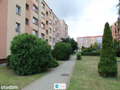 ul. Piastowska - 52m2, 3 pokoje, balkon, I piętro