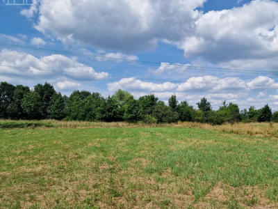 Bocheński, Rzezawa, Krzeczów