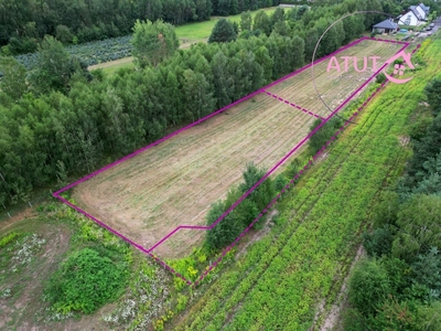 Działka budowlana Skierniewice, ul. Kasztanowa