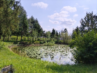 Działka inna Kranów