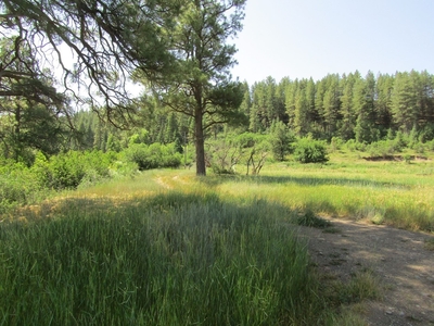 Działka inna Pagosa Springs