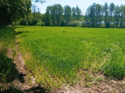 Jastków, działka pod inwestycję nad nowym zalewem