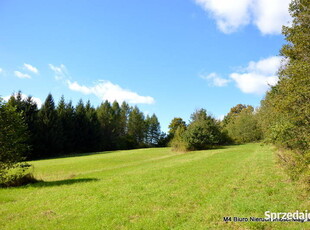 Działka 1,80- Turze Pole, gm. Brzozów-natura, cisza, potencjał inwestycyjny