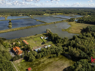 Działka Trzciel-Odbudowa 6632m2