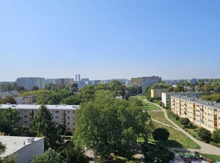 Warszawa, Wola, Warszawa, Wola, Pustola