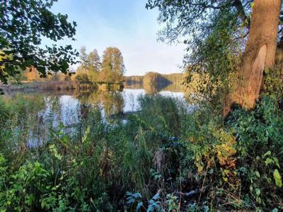 działka na sprzedaż Goleniów