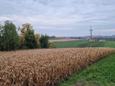 Działka na sprzedaż, Golubsko-Dobrzyński, Sitno