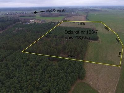 Dwie duże działki, porośnięte lasem w Orzeszkach, Mazury