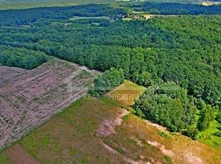 Działka rekreacyjna Uściąż gm. Karczmiska, Uściąż