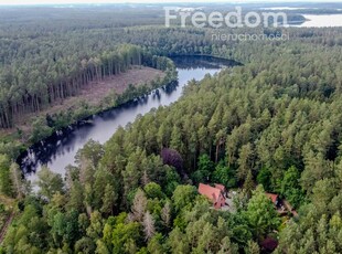 Lokal komercyjny lokal usługowy