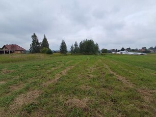 Opole Lubelskie - 1,24 ha - malownicza okolica