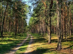 Przepiękna dz.budowlana k. Janowca/Kaziemierza Dolnego