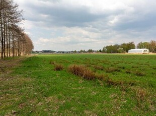 Działka budowlana Żory Kleszczów, Złota