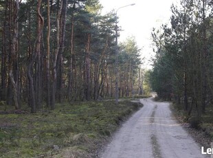 Działka leśna Warszawa Wesoła