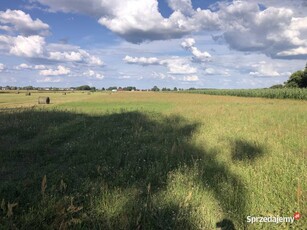 Działka Rolna 1,83 Ha Zazdrość