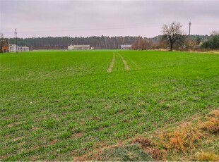 Działka Sprzedaż Świnice Warckie, Polska