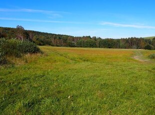 Działki siedliskowe 6,37 ha Dołżyca gm. Komańcza