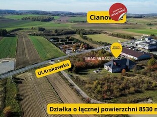 Lokal użytkowy Cianowice Duże gm. Skała, Krakowska