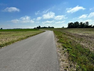 Siedlisko na kolonii, ZASTAWIE