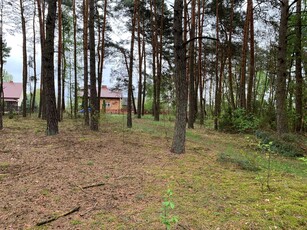 Sprzedam działkę leśną 9000 m2