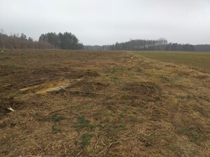 Działka budowlana dla dewelopera- Sewerynowo k Makowa Maz.