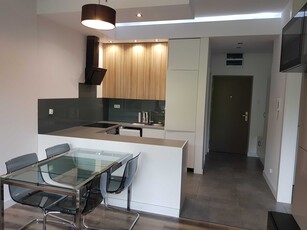 Komfortowy apartament na wynajem - WARZELNIA