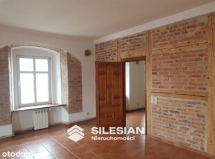 Mieszkanie typu Loft w kamienicy