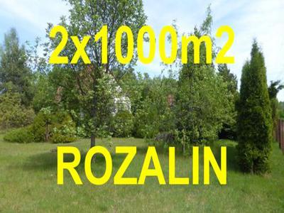 Dom na sprzedaż 3 pokoje Rozalin, 100 m2, działka 2000 m2